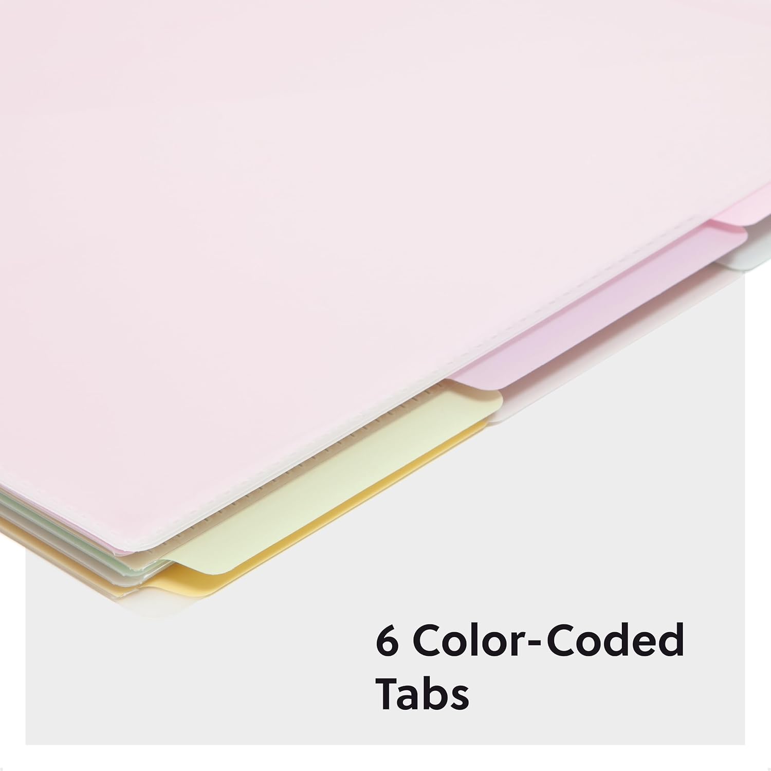 Pastel Plastic File Folders with Color-Coded Tabs for Documents, Projects and Office Organization